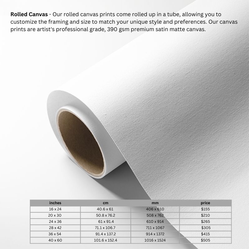 rolled canvas pricing